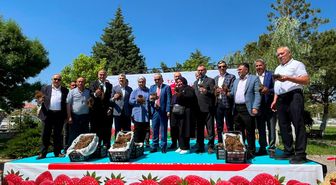 Aksaray'da üreticilere çilek fidesi dağıtıldı