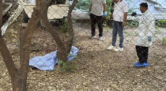 Bahçede kanlar içinde bulundu! Yanındaki detay kafaları karıştırdı