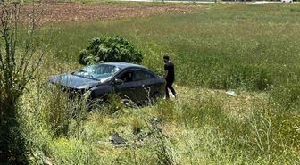 Elazığ'da otomobil tarlaya uçtu: 3 yaralı