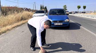 Kaplumbağayı ezilmekten kurtardı