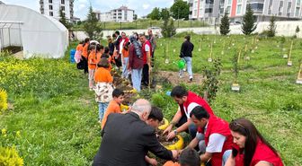 Öğrenciler yetiştirdikleri fideleri toprakla buluşturdu