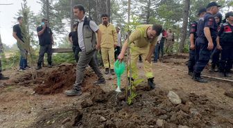 Osmaniye'de orman arazisine kaçak inşa edilen evlerin yıkımı sürüyor