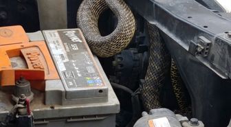 Sivas'ta otomobilin motoruna giren yılan itfaiye ekiplerince çıkarıldı