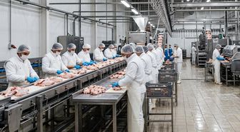 Tavuk firmalarına denetim kayyumu atanmasıyla ilgili başsavcılıktan açıklama