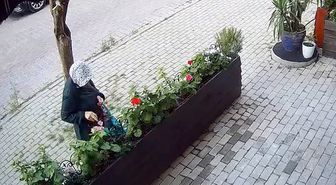 Avcılar'da iş yerinin önünde yetiştirilen çiçekleri söküp çaldı: 'Sabahın köründe şafak operasyonu gibi'