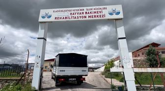 Elazığ'da belediye ekipleri sahipsiz hayvan ihbarlarına 7/24 cevap veriyor