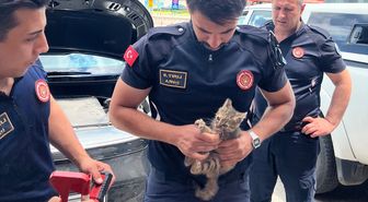 Eskişehir'de aracın motor kısmına sıkışan kedi yavrusu kurtarıldı