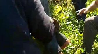 Kiraz toplamak için çıktığı ağaçtan düştü