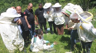 Ordu'da arıcılara uygulamalı eğitim verildi