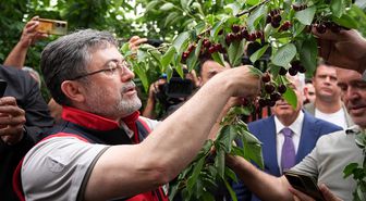 Tarım ve Orman Bakanı Yumaklı İzmir'de kiraz hasadına katıldı Açıklaması