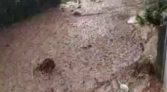 Yahyalı'da yağış sele neden oldu, evler araçlar zarar gördü