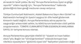 AK Parti'li Çelik: Türkiye'ye dönük bağnaz siyasi dilin hiçbir hükmü yoktur