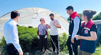 Bozdoğan'da tarımsal üretim sahada değerlendirildi