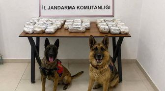 Hakkari'de 21 kilo 650 gram toz esrar ele geçirildi