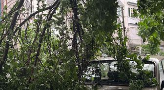 Manisa'da Sağanak Yağış Sele Neden Oldu
