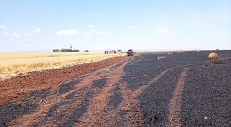 Mardin'de yaklaşık 150 dekar buğday ekili alan yandı