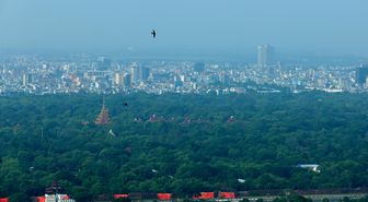 Myanmar Bu Yılki Yağış Sezonunda 21 Milyondan Fazla Fidan Dikecek