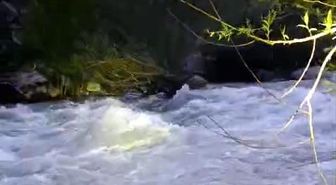 Nehirde kaybolan şahıs için arama çalışması başlatıldı