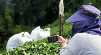 Rize'de çay bahçesinde milli maç heyecanı