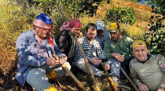 Tarlada mesaiye milli maç arası