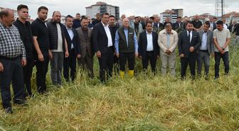 TZOB Genel Başkanı Bayraktar, Kahramankazan'da zarar gören tarım arazilerinde incelemede bulundu Açıklaması