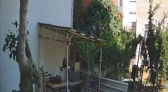 Yumurtaları alıp götüren karga kamerada