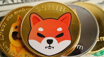ABD'nin ilk Shiba Inu erişimli ETF'si onaylandı