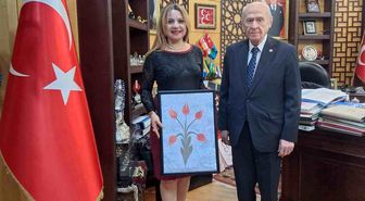 Terörsüz Türkiye süreci Avrupa'da anlatılacak