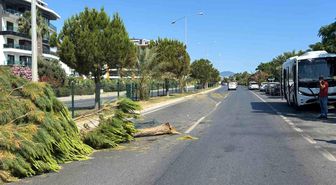 Alanya'da alkollü sürücünün kullandığı midibüs refüjü aşıp karşı şeride geçti
