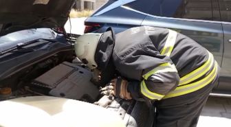 Aracın motoruna sıkışan kedi kurtarıldı