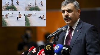 Bakan Çiftçi, yılbaşına kadar süre istedi: Sokak köpeklerinin hepsini barınaklara toplatacağım