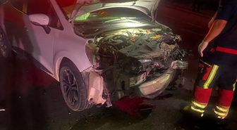 Balıkesir'de otomobilin çarptığı 7 küçükbaş hayvan telef oldu
