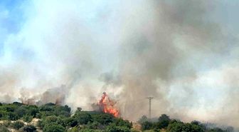 Çanakkale'de bozuk orman sahasında yangın