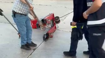 Fabrikaya giren yılan itfaiye ekipleri tarafından yakalanarak doğaya bırakıldı