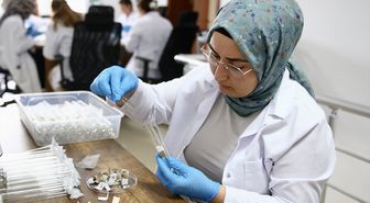 Giresun'da üretilen samuray arıları 5 ilde doğaya bırakılacak