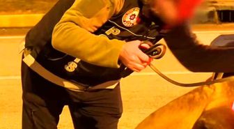 Isparta'da narkotikten bir haftada 18 operasyon, 3 tutuklama
