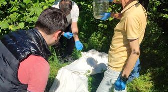 Kahverengi kokarcaya karşı samuray arısı seferberliği
