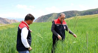 Kars'ta fenolojik gözlem çalışmaları sürüyor
