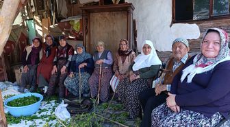 Nallıhan ilçesinde ipek böcekçiliği geleneği sürdürülüyor