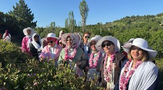 AK Parti Kadın Kolları Başkanı Ercan, Isparta'da Gül hasadına katıldı Açıklaması