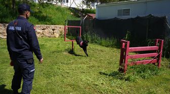 Jandarmanın iz takip köpeği 'Becet' emekliye ayrıldı