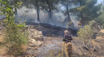 Kahramanmaraş'ta ormanlık alanda çıkan yangın söndürüldü