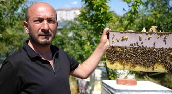 Korkmadan temas edebildiği arılarla 5 senedir birlikte yaşıyor