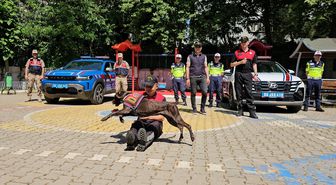 Siirt'te jandarmanın eğitimli köpekleri minik öğrenciler için gösteri yaptı
