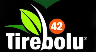 Tirebolu 42 Çay battı mı, Tirebolu 42 Çay neden iflas etti?