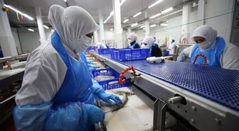 TKDK desteğiyle büyüyen balık işleme fabrikası 5 ülkeye ihracat yapıyor