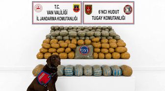 Van'da 291 kilogram toz esrar ele geçirildi