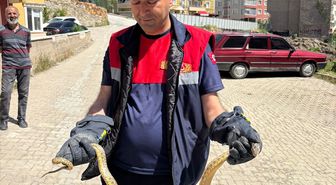 Yozgat'ta otomobilin motoruna giren yılan itfaiye ekiplerince çıkarıldı