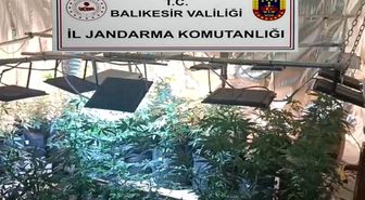 Balıkesir'de jandarmadan uyuşturucu serasına çevrilen evlere baskın: 12 gözaltı