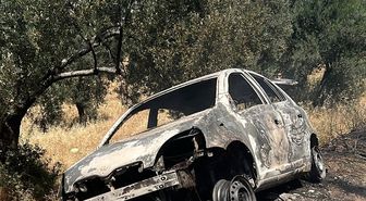 Balıkesir'de otomobilde başlayıp zeytinliğe sıçrayan yangın söndürüldü